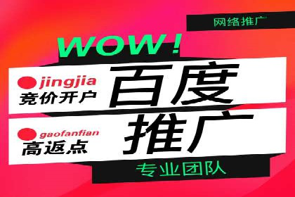专业百度竞价托管外包成功案例分享